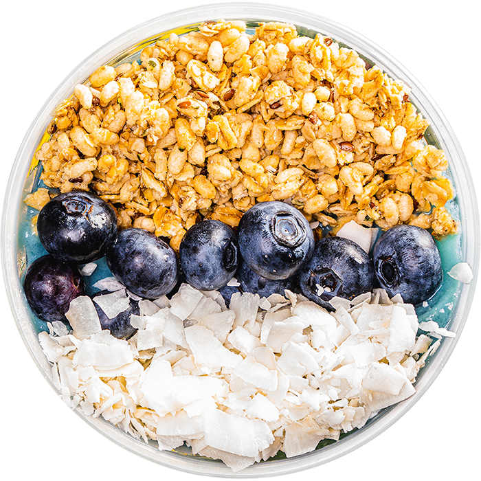 Coconut and blueberries on top of a blue spirulina flavored smoothie.  